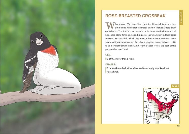 Produktbild: Extremely Accurate Birds
