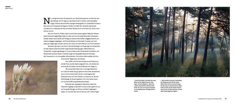 Produktbild: Wilde Isar