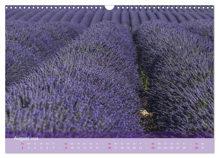 Produktbild: Die Farbe des Lavendels (Wandkalender 2026 DIN A3 quer), CALVENDO Monatskalender