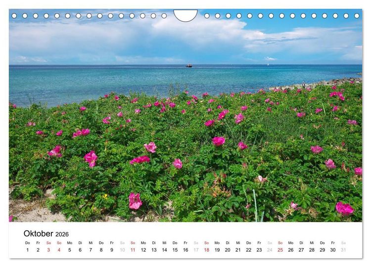 Produktbild: R&uuml;gen und Hiddensee (Wandkalender 2026 DIN A4 quer), CALVENDO Monatskalender