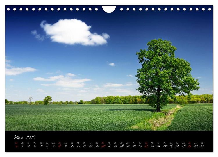 Produktbild: Vier- und Marschlande Hamburgs gr&uuml;ner S&uuml;dosten (Wandkalender 2026 DIN A4 quer), CALVENDO Monatskalender