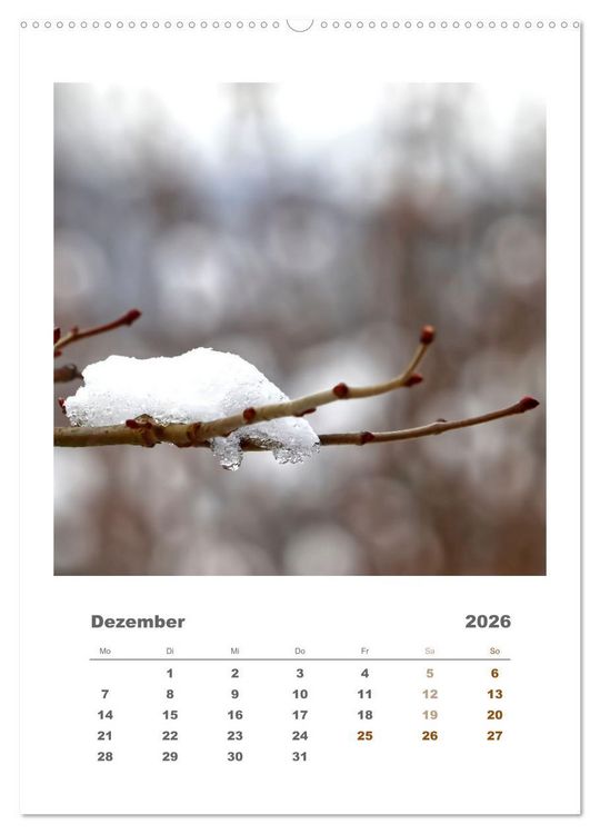 Produktbild: Minimalistisch, Gr&auml;ser, Bl&uuml;ten, Bl&auml;tter und Zweige im Fokus (hochwertiger Premium Wandkalender 2026 DIN A2 hoch), Kunstdruck in Hochglanz