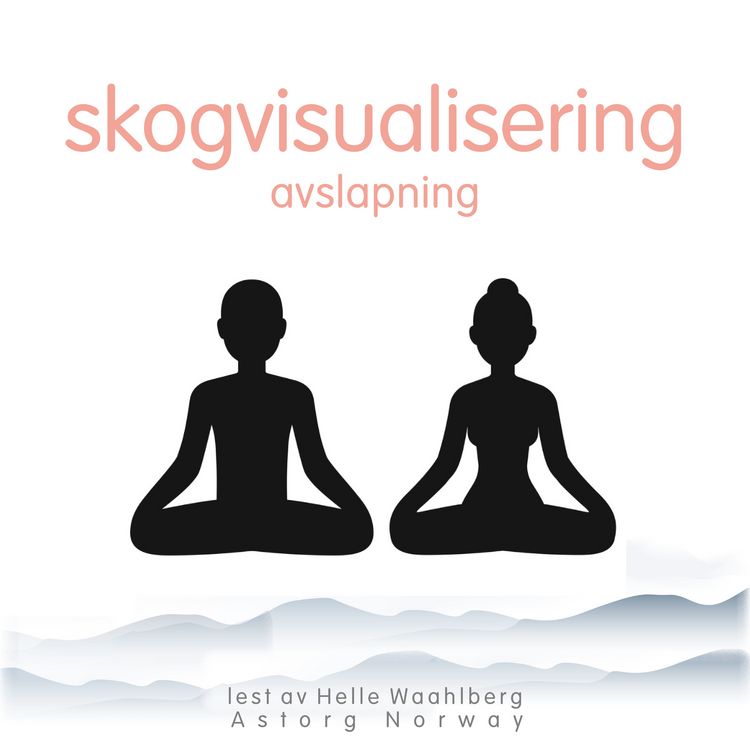 Produktbild: Skogvisualisering avslapning