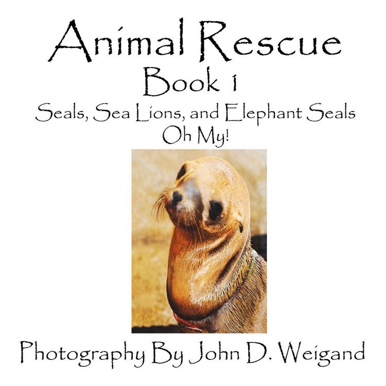 Produktbild: Animal Rescue, Book 1, Seals, Sea Lions And Elephant Seals, Oh My!