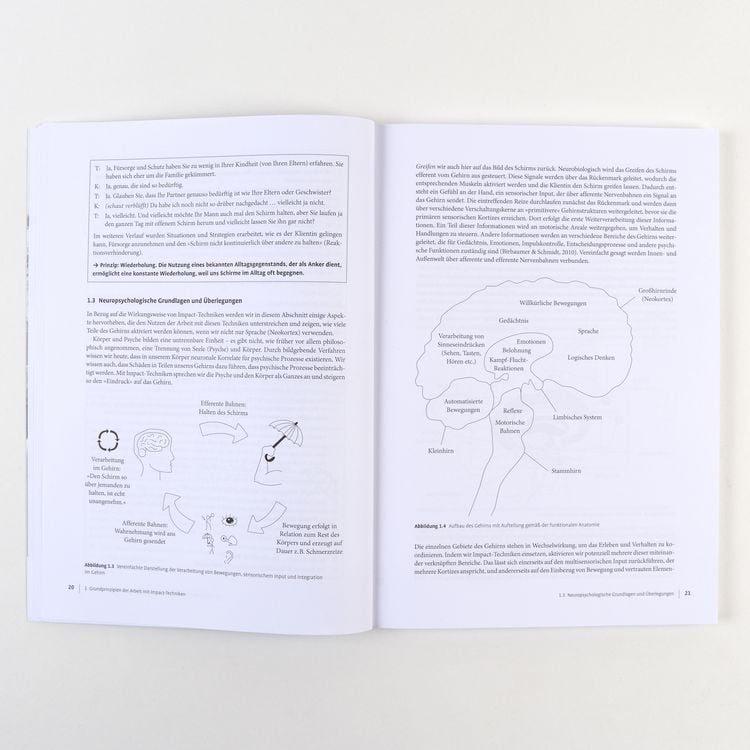 Produktbild: Therapie-Tools Impact-Techniken im Einzelsetting