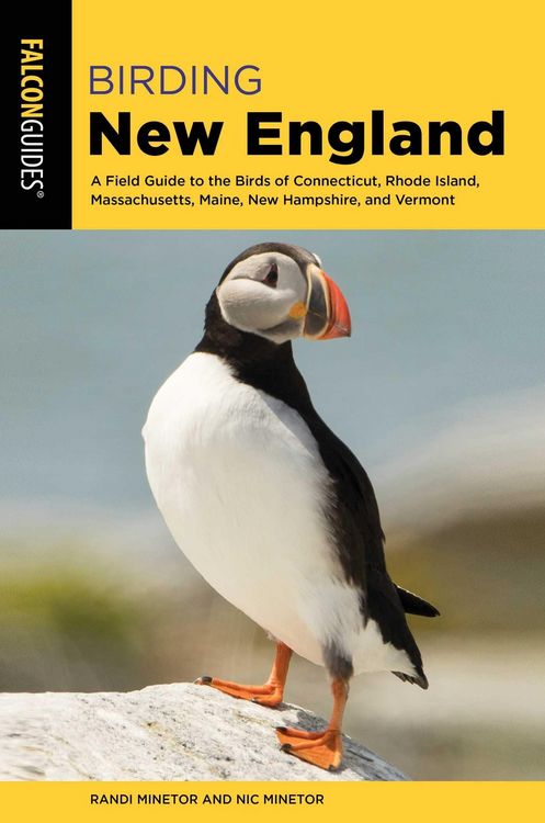 Produktbild: Birding New England