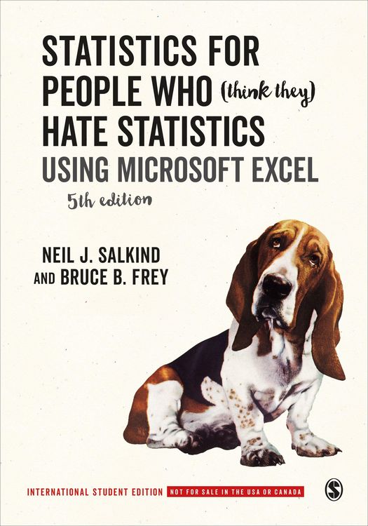Produktbild: Statistics for People Who (Think They) Hate Statistics - International Student Edition