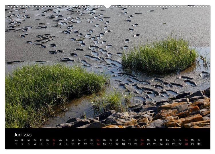 Produktbild: NORDSEE IMPRESSIONEN (Wandkalender 2026 DIN A2 quer), CALVENDO Monatskalender