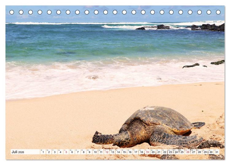 Produktbild: Hawaii the Aloha State (Tischkalender 2026 DIN A5 quer), CALVENDO Monatskalender
