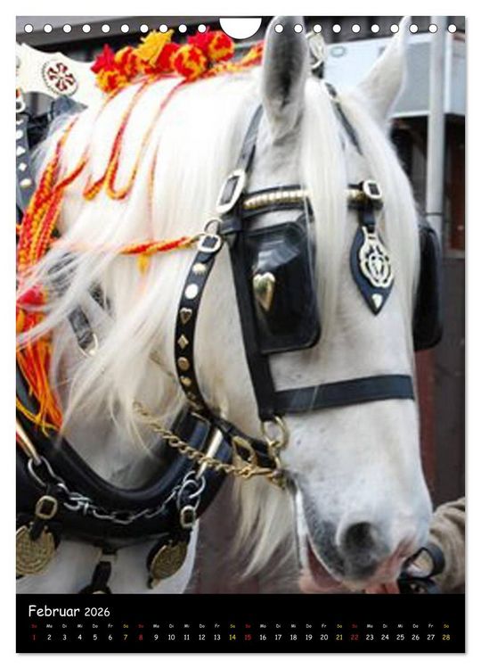 Produktbild: Shire Horse - Geschm&uuml;ckte Riesen (Wandkalender 2026 DIN A4 hoch), CALVENDO Monatskalender