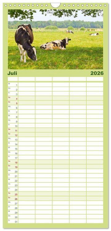 Produktbild: Familienplaner 2026 - Die Kuh macht Muuuh! mit 5 Spalten (Wandkalender, 21 x 45 cm) CALVENDO