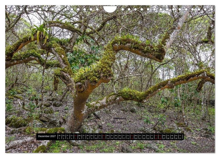 Produktbild: Galapagos- Landschaften (Wandkalender 2027 DIN A4 quer), CALVENDO Monatskalender