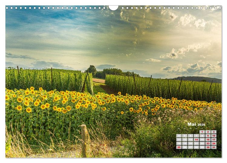 Produktbild: Hopfenland Holledau (Wandkalender 2026 DIN A3 quer), CALVENDO Monatskalender