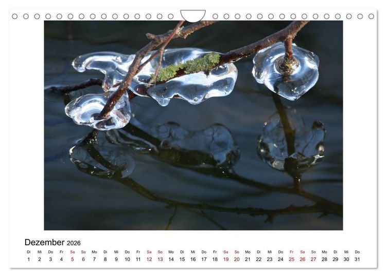 Produktbild: Nymphenburger Park (Wandkalender 2026 DIN A4 quer), CALVENDO Monatskalender