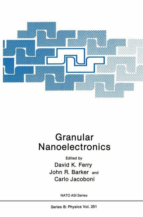 Produktbild: Granular Nanoelectronics