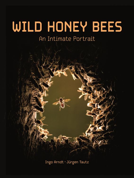 Produktbild: Wild Honey Bees