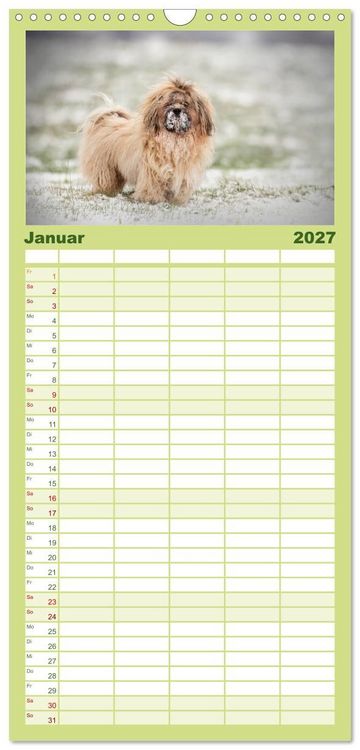 Produktbild: Familienplaner 2027 - Havaneser - Wirbelwinde aus Kuba mit 5 Spalten (Wandkalender, 21 x 45 cm) CALVENDO