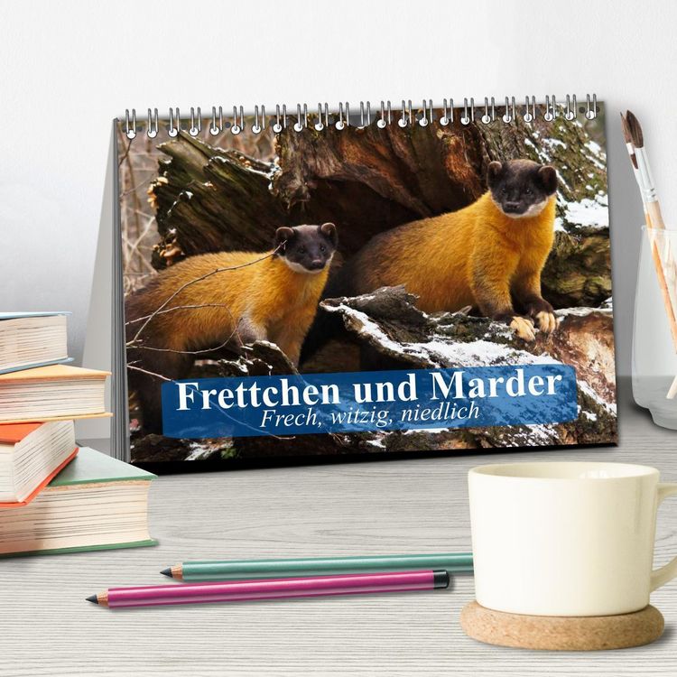 Produktbild: Frettchen und Marder. Frech, witzig, niedlich (Tischkalender 2026 DIN A5 quer), CALVENDO Monatskalender