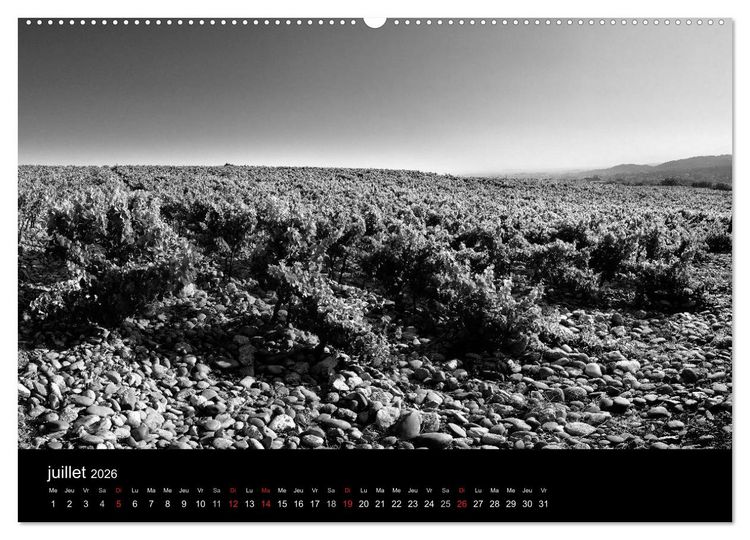 Produktbild: VIGNES DU SUD terroirs d'AOC (Calendrier mural 2026 DIN A2 vertical) calendrier de bureau