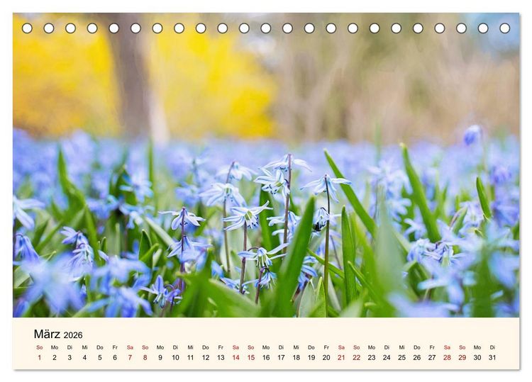 Produktbild: Die Jahreszeiten. Magie des Wandels (Tischkalender 2026 DIN A5 quer), CALVENDO Monatskalender