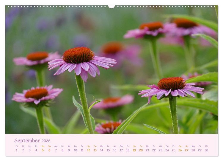 Produktbild: Naturwunder Bl&uuml;ten (hochwertiger Premium Wandkalender 2026 DIN A2 quer), Kunstdruck in Hochglanz