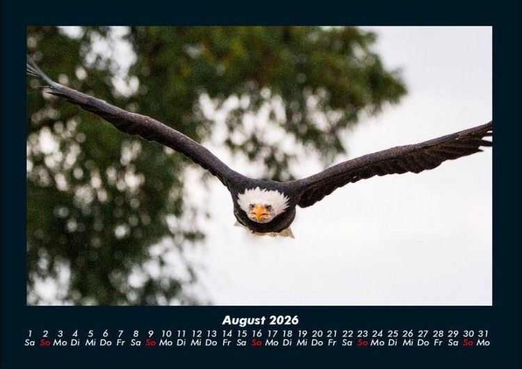 Produktbild: Adler 2026 Fotokalender DIN A4