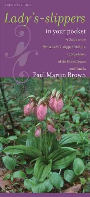 Produktbild: Lady's-Slippers in Your Pocket: A Guide to the Native Lady's-Slipper Orchids, Cypripedium, of the United States and Canada