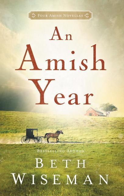 Produktbild: An Amish Year