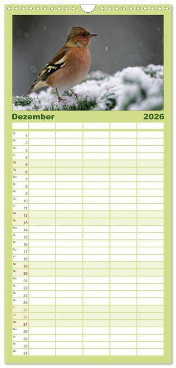 Produktbild: Familienplaner 2026 - Heimische Gartenv&ouml;gel mit 5 Spalten (Wandkalender, 21 x 45 cm) CALVENDO