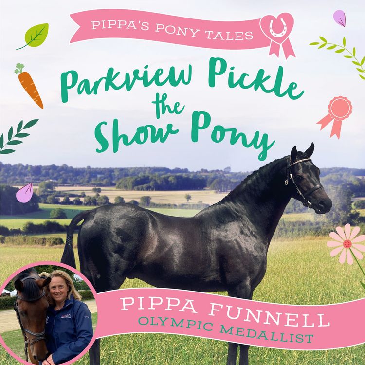 Produktbild: Parkview Pickle the Show Pony