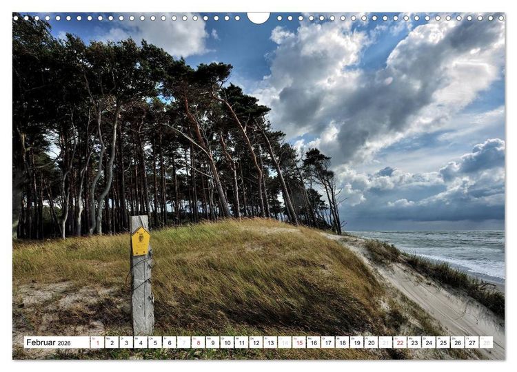 Produktbild: Naturschauspiel Dar&szlig;er Weststrand (Wandkalender 2026 DIN A3 quer), CALVENDO Monatskalender