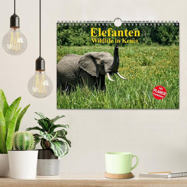 Produktbild: Elefanten . Wildlife in Kenia (Wandkalender 2026 DIN A4 quer), CALVENDO Monatskalender