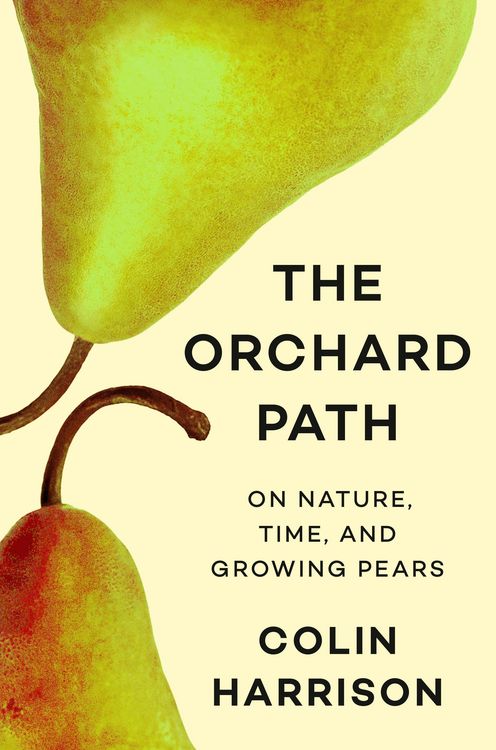 Produktbild: The Orchard Path