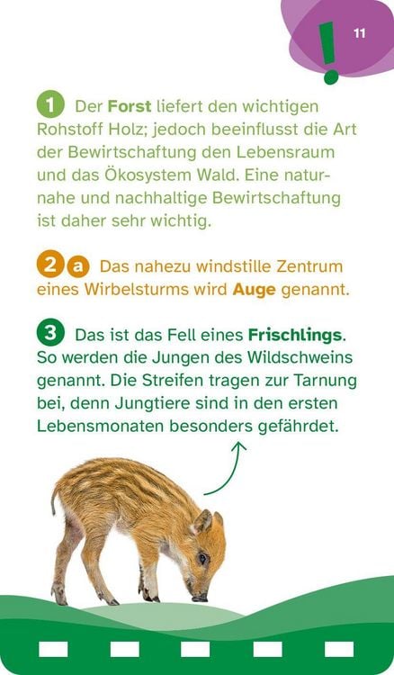 Produktbild: Was ist was Quiz Natur