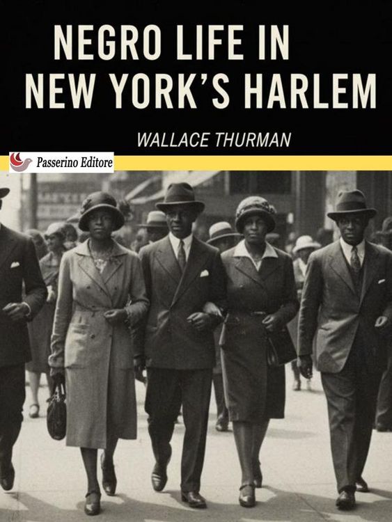 Produktbild: Negro Life in New York's Harlem