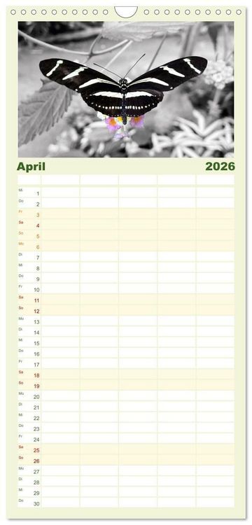 Produktbild: Familienplaner 2026 - Gefl&uuml;gelte Sch&ouml;nheiten der Tropen mit 5 Spalten (Wandkalender, 21 x 45 cm) CALVENDO