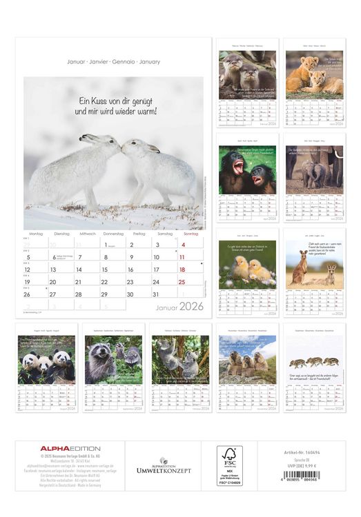 Produktbild: Kleine Freunde 2026 - Bildkalender 23,7x34 cm - Kalender mit Platz für Notizen - mit vielen Zusatzinformationen - Wandkalender - Alpha Edition