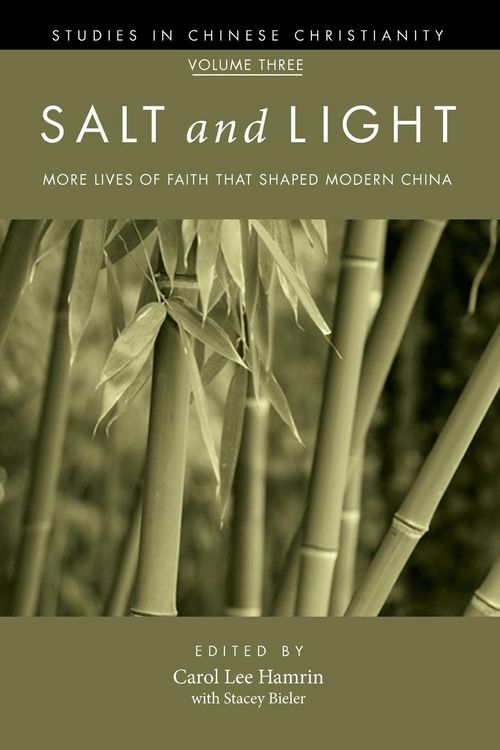 Produktbild: Salt and Light, Volume 3