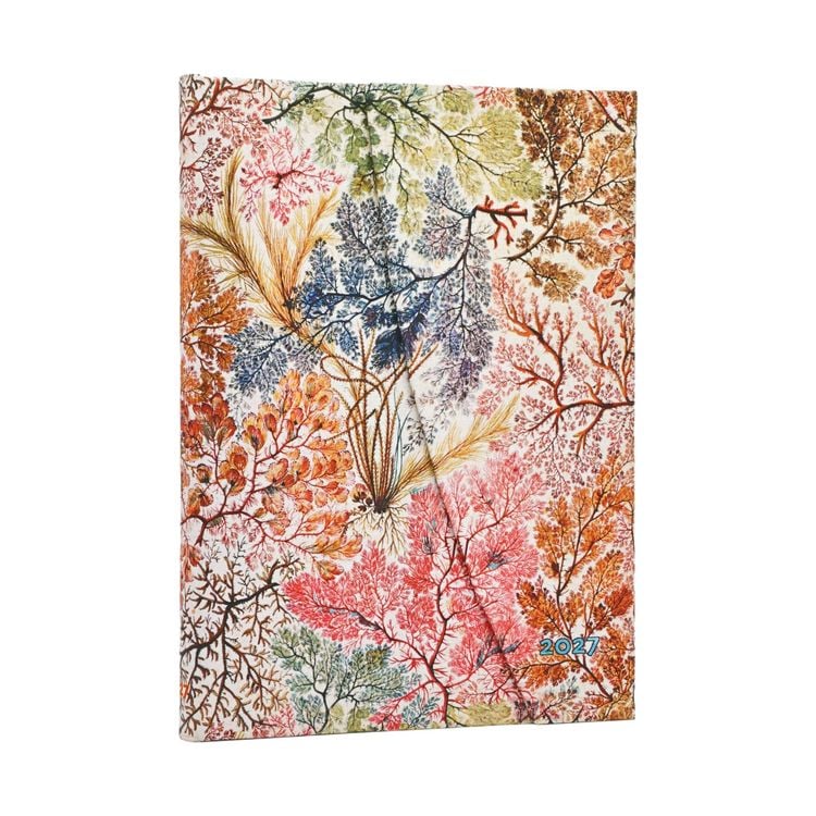 Produktbild: 12-Monatskalender 2027 Anemone Midi Verso