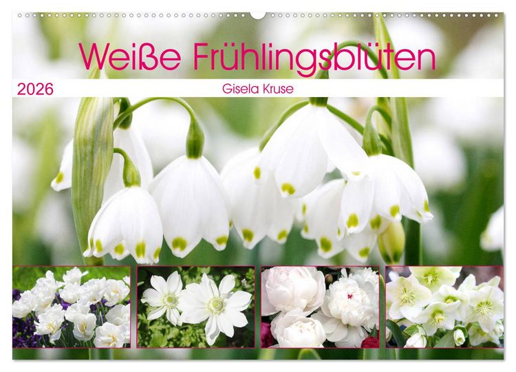 Produktbild: Wei&szlig;e Fr&uuml;hlingsbl&uuml;ten (Wandkalender 2026 DIN A2 quer), CALVENDO Monatskalender
