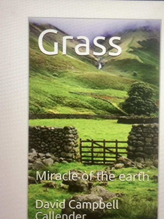 Produktbild: Grass. Miracle of the Earth (Callender Nature, #1)