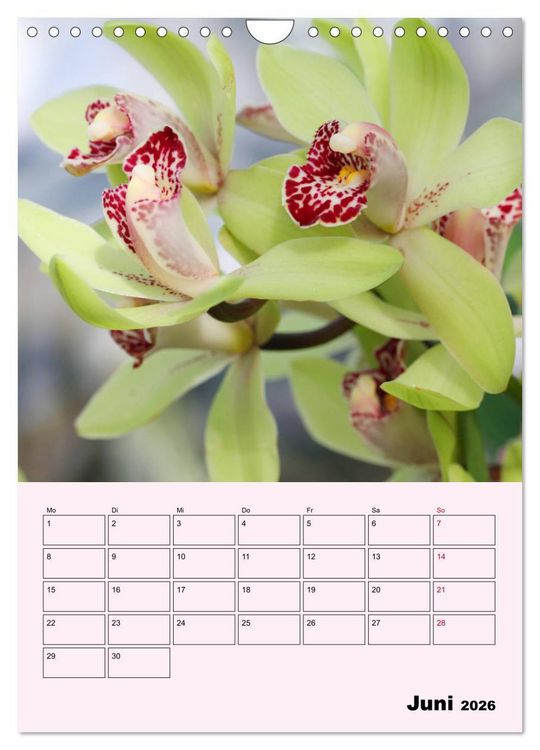 Produktbild: Orchideenliebe (Wandkalender 2026 DIN A4 hoch), CALVENDO Monatskalender