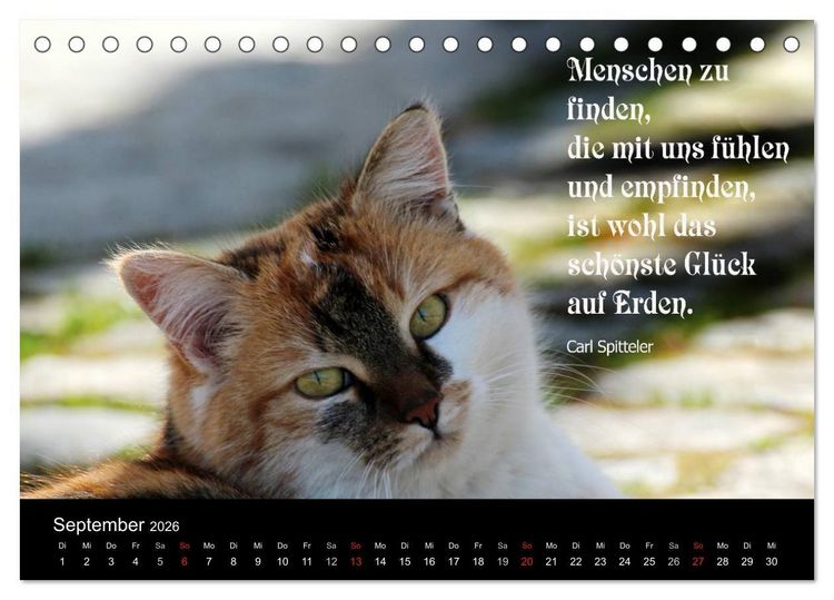 Produktbild: Gl&uuml;ckskatze - Mit Zitaten zum Thema Gl&uuml;ck (Tischkalender 2026 DIN A5 quer), CALVENDO Monatskalender