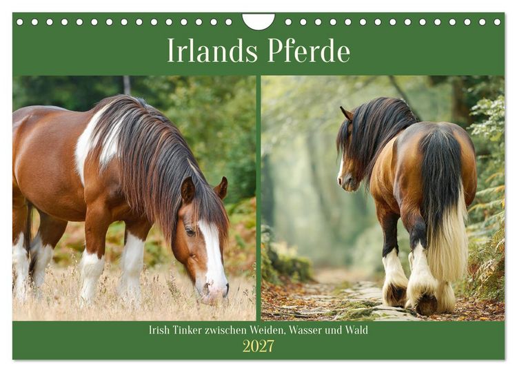 Produktbild: Irlands Pferde. Irish Tinker zwischen Weiden, Wasser und Wald (Wandkalender 2027 DIN A4 quer), CALVENDO Monatskalender