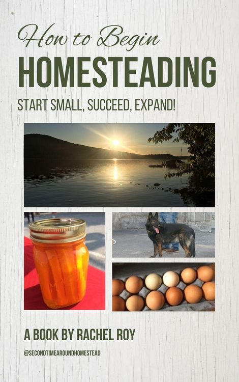 Produktbild: How to Begin Homesteading: Start Small, Succeed, Expand!