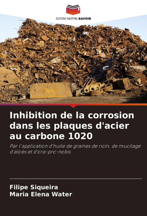 Produktbild: Inhibition de la corrosion dans les plaques d'acier au carbone 1020