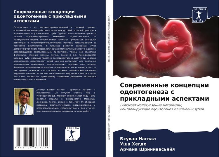 Produktbild: Sowremennye koncepcii odontogeneza s prikladnymi aspektami
