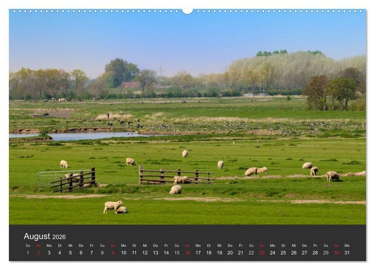 Produktbild: Hamburger Stadtansichten (Wandkalender 2026 DIN A2 quer), CALVENDO Monatskalender