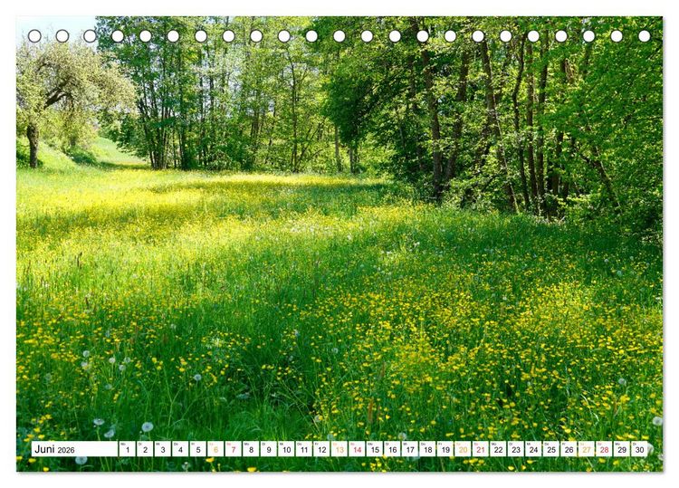 Produktbild: 12 Monate Natur (Tischkalender 2026 DIN A5 quer), CALVENDO Monatskalender