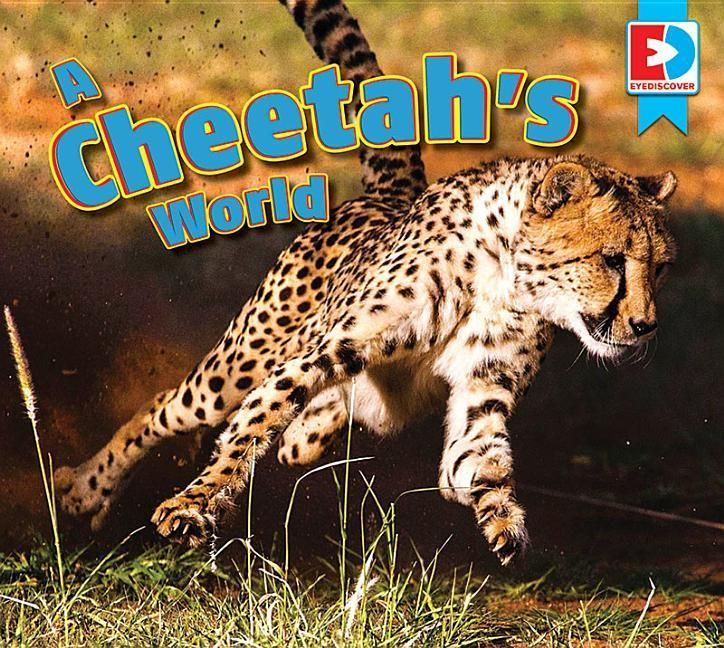 Produktbild: A Cheetah's World